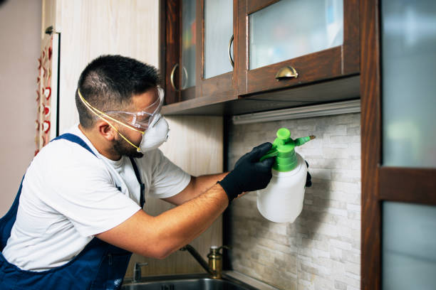  Keshore, LA Pest Control Pros