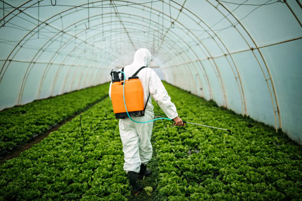 Best Pest Inspection Near Me  in Keshore, LA