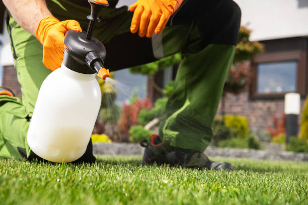 Best Flea Control Services  in Keshore, LA