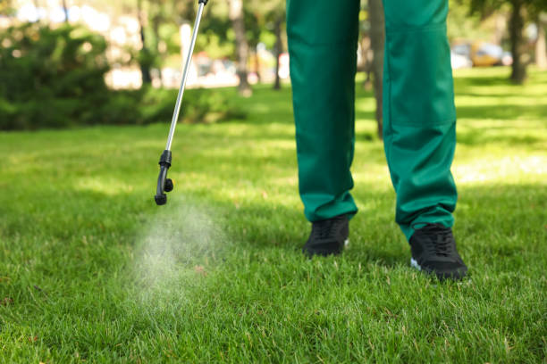 Best Commercial Pest Control Services  in Keshore, LA