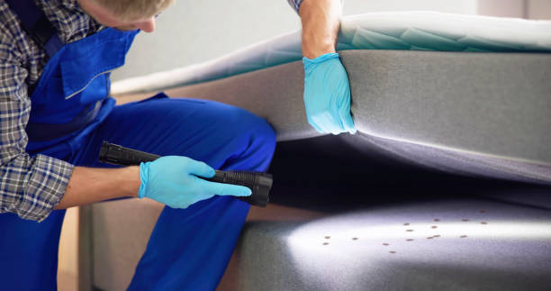 Best Rat Extermination Near Me  in Keshore, LA
