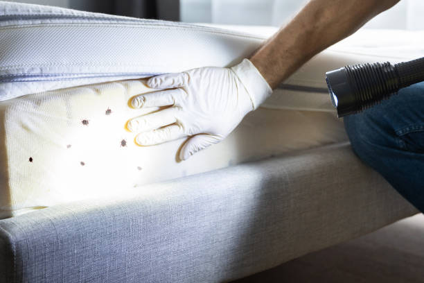 Best Best Pest Control Companies  in Keshore, LA