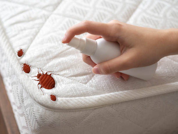 Best Cockroach Control Services  in Keshore, LA