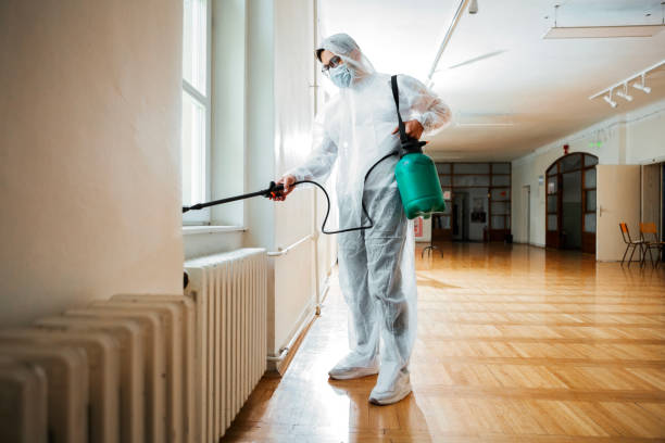 Best Termite Control Services  in Keshore, LA