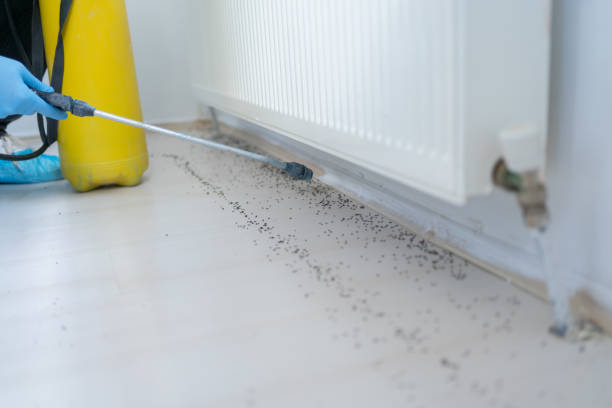 Best Exterminator Services  in Keshore, LA