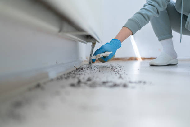 Best Pest Prevention Services  in Keshore, LA